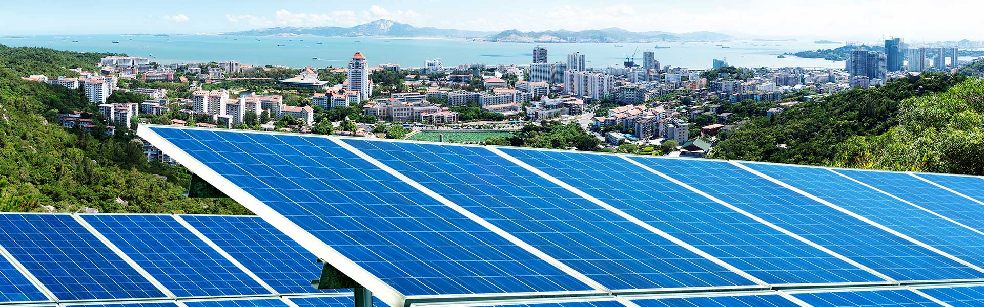 新聞動(dòng)態(tài)