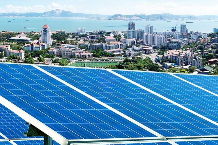 新聞動(dòng)態(tài)